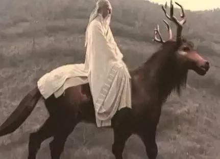 自古套路留不住唯有真情得人心,自古深情留不住唯有套路得人心19