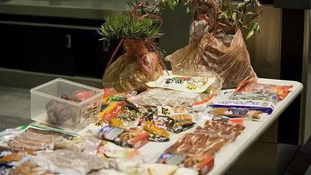 海关不准从国外邮寄的东西,中国海关禁止美籍华人回国吗