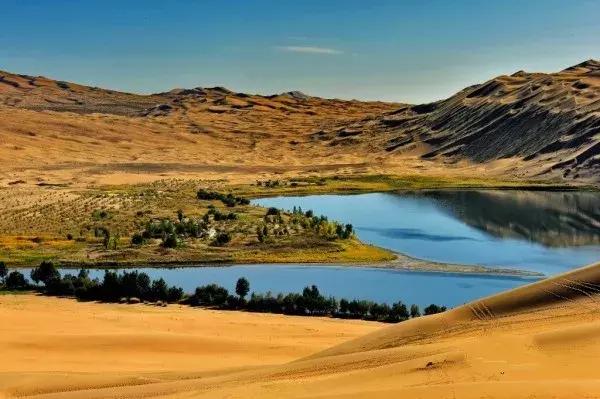 蚂蚁沙漠种树,蚂蚁森林沙漠种树航拍