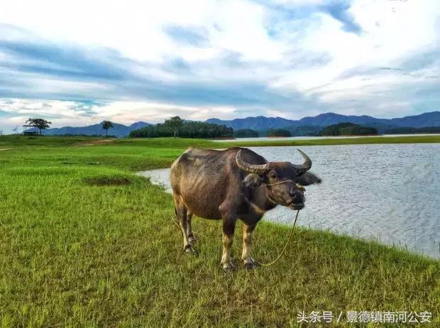 这座高铁直达的小县城，藏着圣托里尼的浪漫，济州岛的清新！