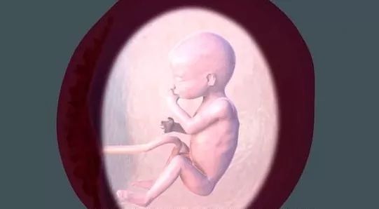 为什么抠肚脐眼手会臭,为啥抠肚脐眼会肚疼