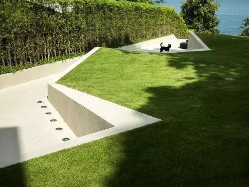 草坪该如何养护管理,楼顶花园草坪选择哪种比较好