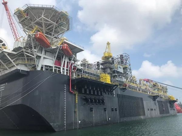 辽宁海边惊现巨型海兽,青岛发现的巨兽