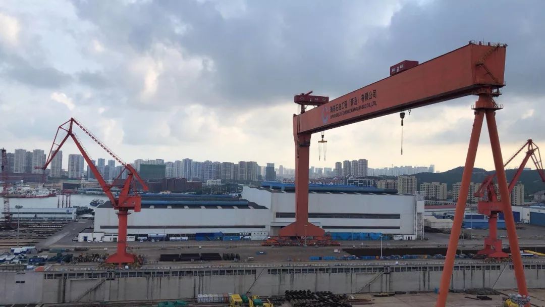 辽宁海边惊现巨型海兽,青岛发现的巨兽