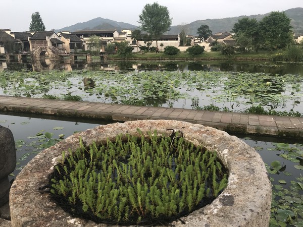 云深不知处格局,黄山风水奇穴