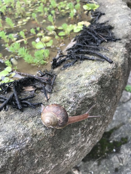 云深不知处格局,黄山风水奇穴