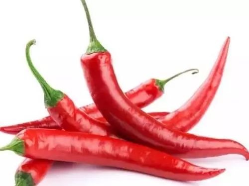 全世界最有营养的100种食物,最有营养食物100种