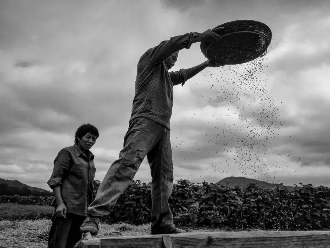 来看看哪些摄影作品入选27届国展,一月最佳手机摄影作品评选