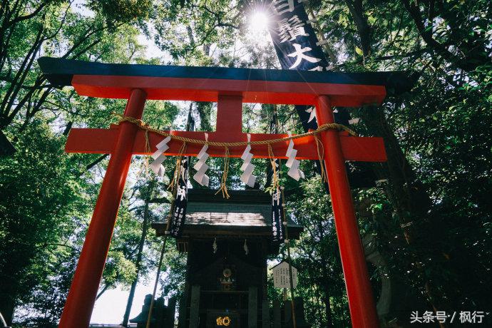 熊本一日游你有哪些攻略,熊本县一日游超全攻略