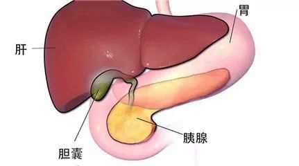 保胆取息肉手术成功率高吗,微创保胆手术是怎么一回事