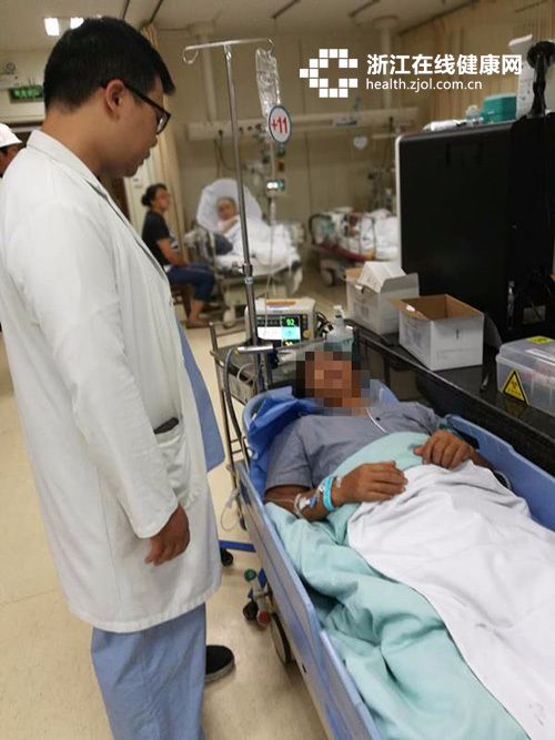 狗咬驴踢奥迪,狗咬驴驴踢坏奥迪车