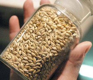 肝炎发作时肝区什么变化,肝炎导致肝损伤的症状与治疗