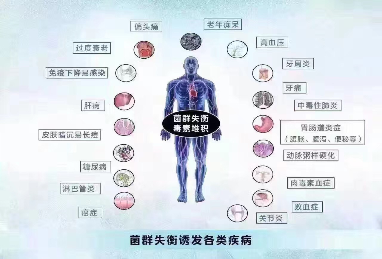 益生菌与微生物的关系,益生菌与其他营养元素的关系