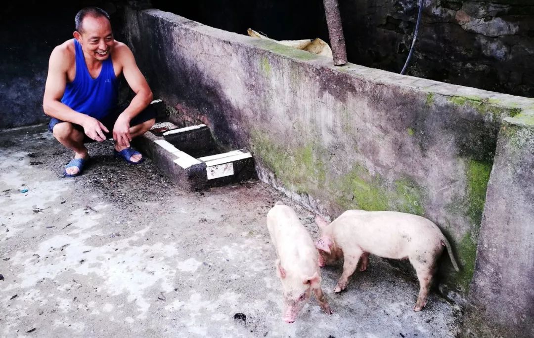 微新闻优秀作品,好风凭借力好雨知时节