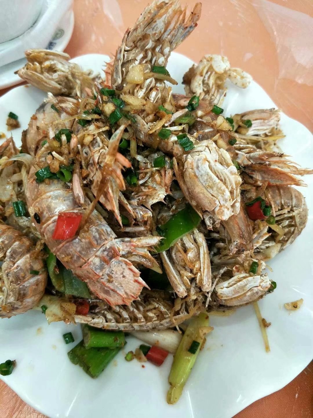 和妈妈第一次一起旅游,三亚潜水旅行攻略