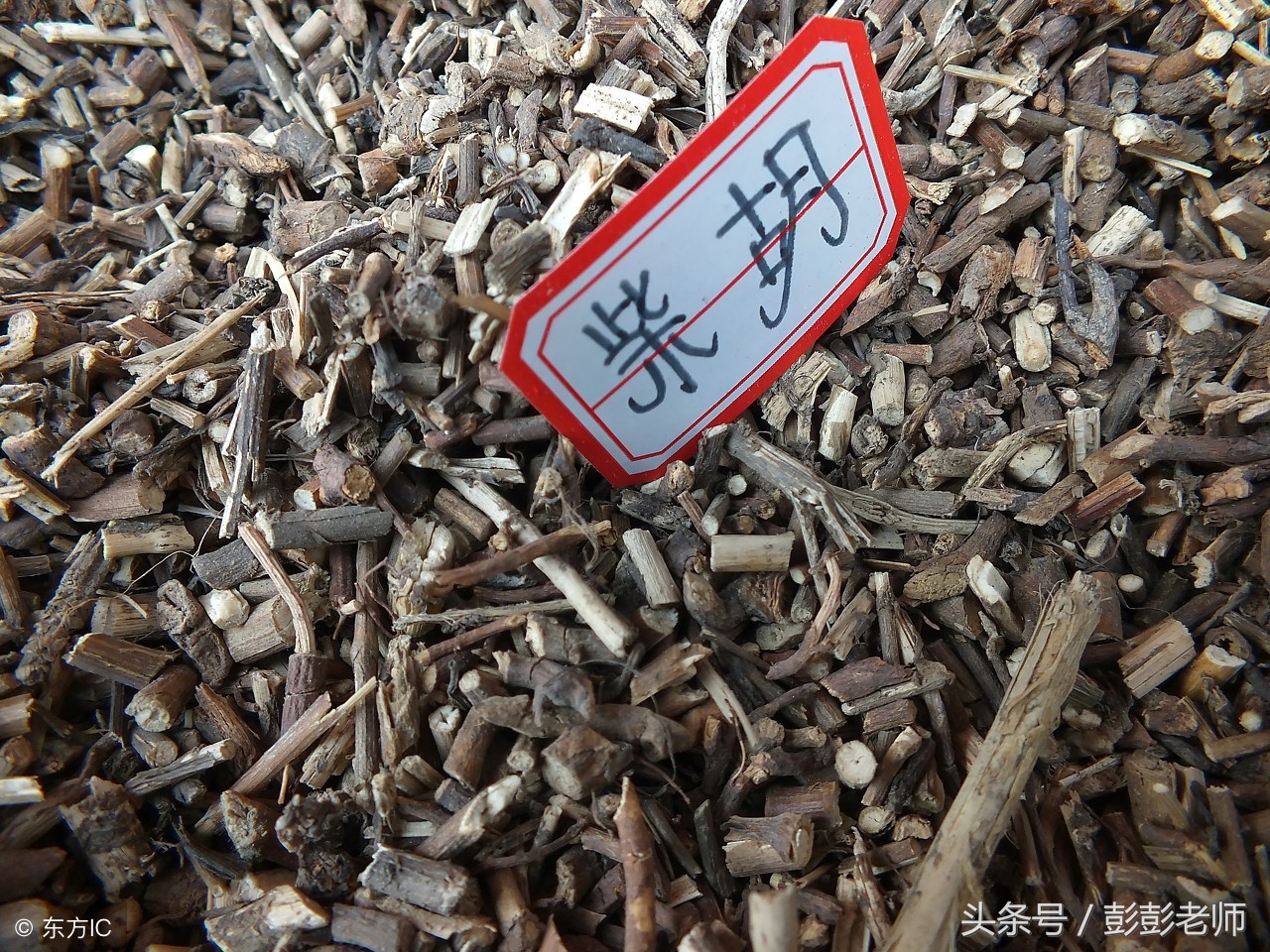 轻松学中医系列——《药性赋》选讲7（葛根柴胡百部）