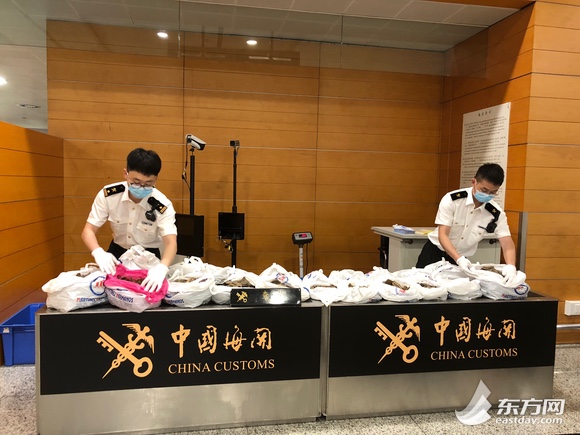 被海关扣留物品怎么查,被海关查扣的物品还能拿回来吗