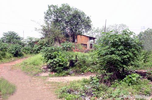 风景写生色彩绘画教程,蓬莱阁风景色彩写生