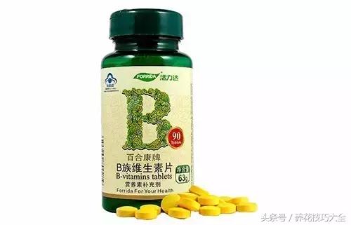 过期药品养花妙用,这些过期药品别扔拿来养花是神器