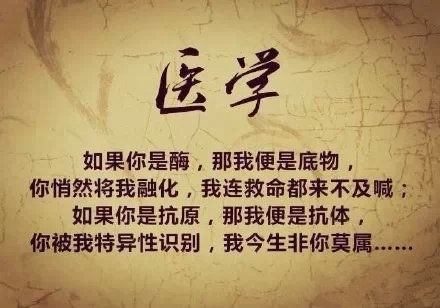 七夕大放送,七夕大放送完整版