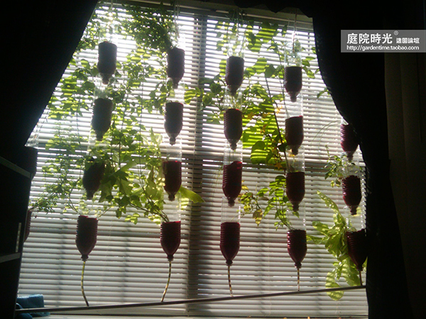 变废为宝自制栽培绿植器皿,塑料瓶创意绿植盆栽旧物利用