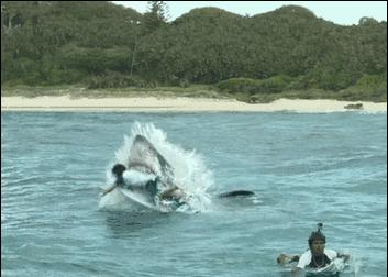 海底潜水旅行注意什么,海底潜水旅行注意事项