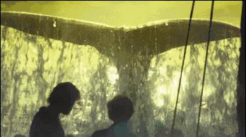 海底潜水旅行注意什么,海底潜水旅行注意事项