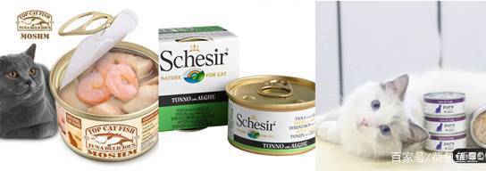 猫咪零食大全推荐,猫咪最喜欢吃什么零食