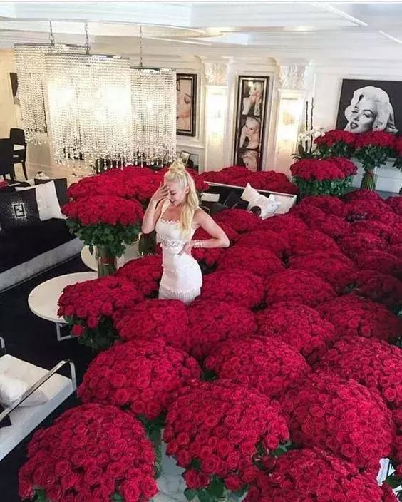 不同颜色玫瑰代表的花语,情人节送自己的玫瑰花语