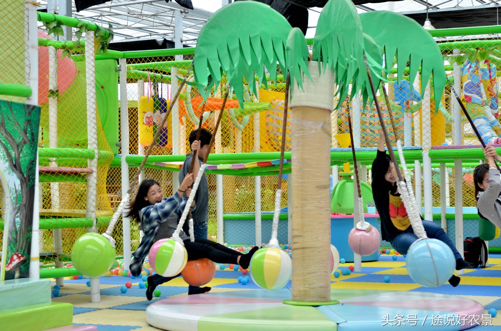 寨春农场青蛙乐园门票,荷塘水库青蛙乐园