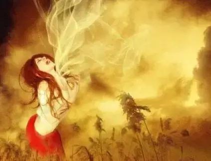 相机存储卡用哪种比较好,相机存储卡读写速度哪个重要