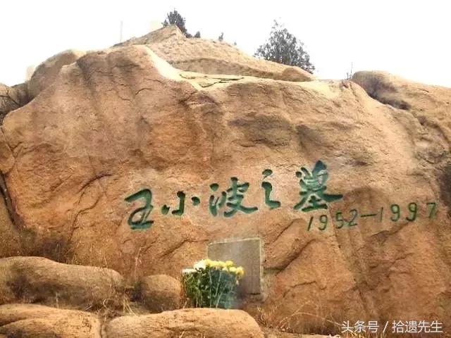 王小波和李银河作品,你好李银河王小波完整版