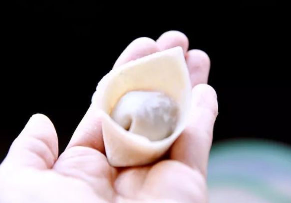 十种最漂亮的云吞包法,云吞包法视频12种包法