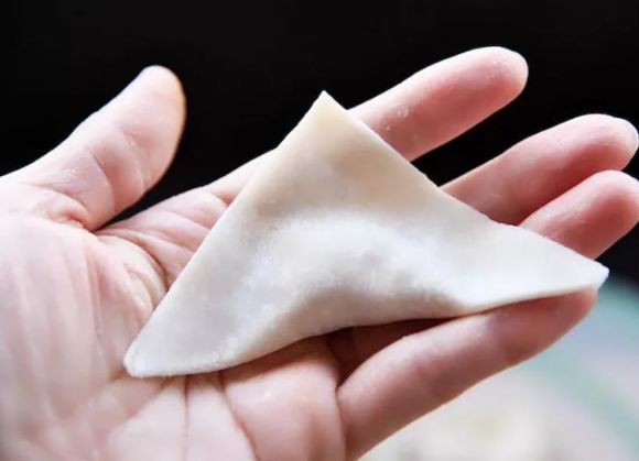 十种最漂亮的云吞包法,云吞包法视频12种包法