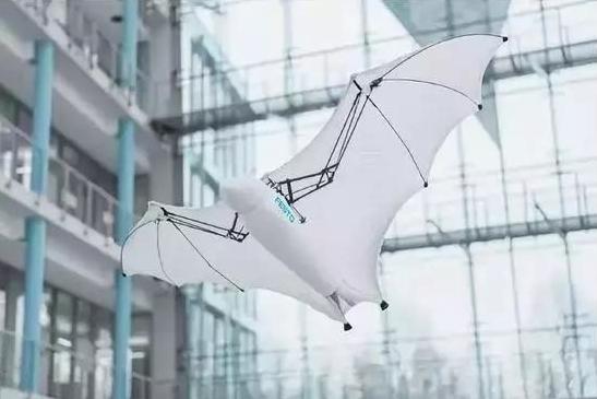 真实版的姚明,姚明明模仿者全部视频