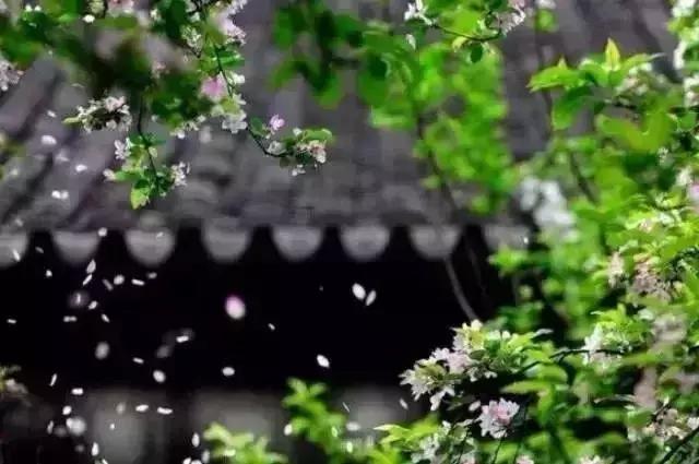 四书五经必背80条名句,四书五经的经典词句