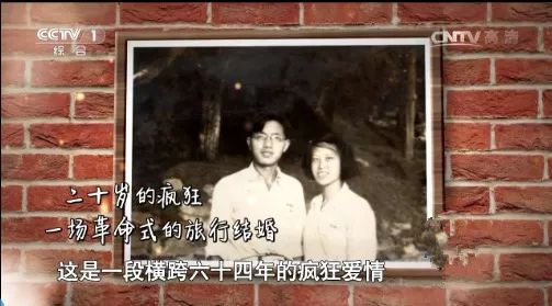 晨读一切都是最好的安排,真正的爱就是柴米油盐酱醋茶