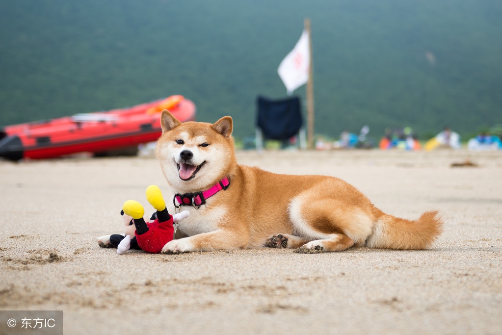 七夕节不知道送什么礼物,七夕节送什么礼物给情人最感动
