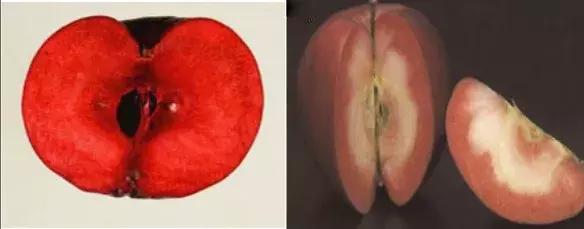 定制七夕MYB“专属礼物”——把特别的爱,送给特别的你