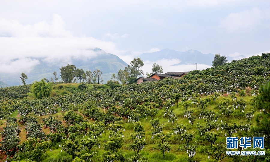 涓芥睙鍗庡潽閲戣姃,涓芥睙閲戣姃