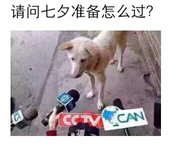 鐢版湪鏂囧垱鎴愬悕浣滃搧,鐢版湪鏂囧垱浣滃搧娆ｈ祻