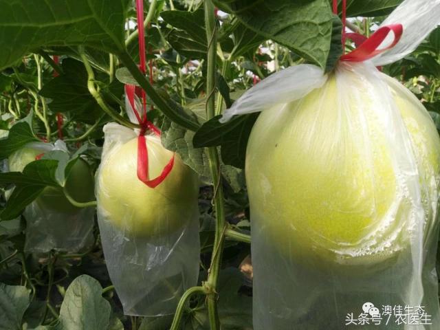 改善土壤板结专用药,专治土壤板结硬化酸化重茬