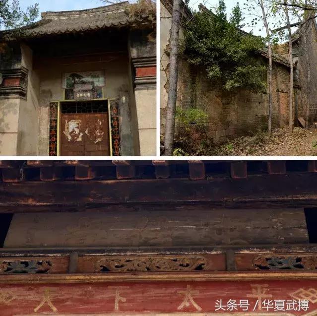 长寿村小张庄的树和人文/张帅锋