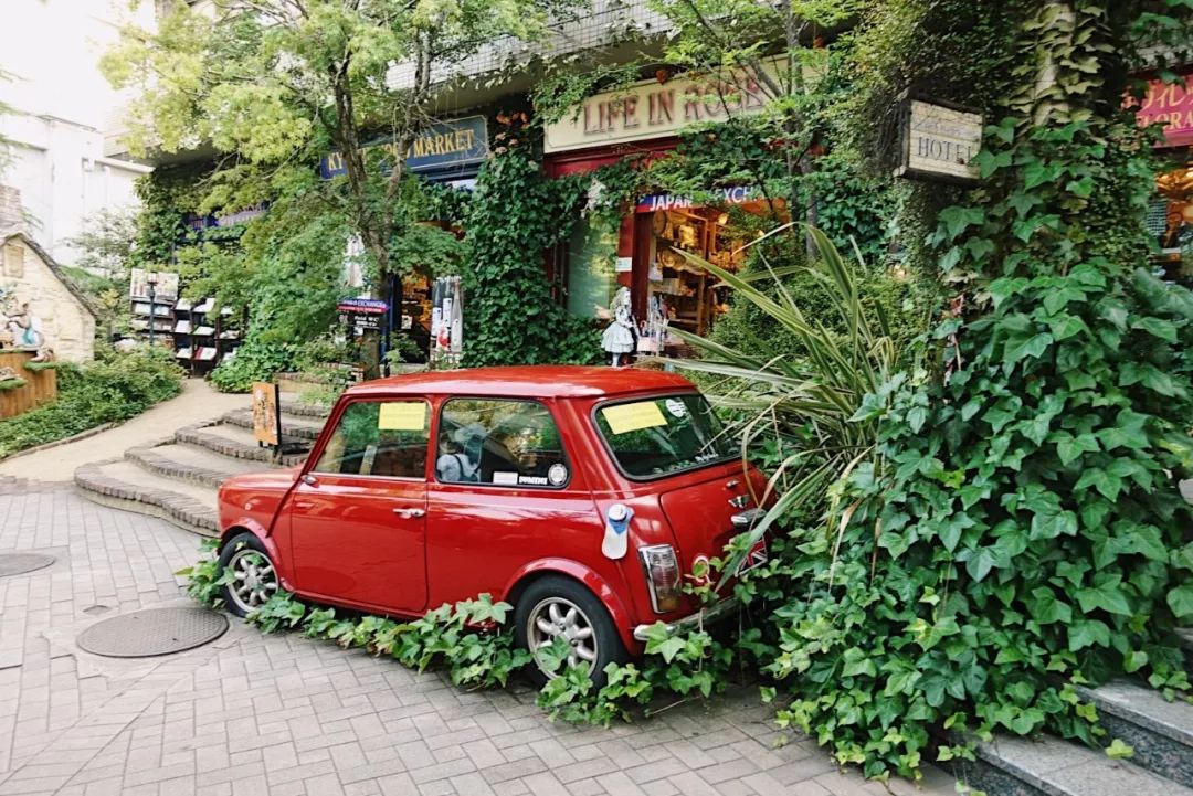 日本九州的宝藏,日本大量宝藏被发现