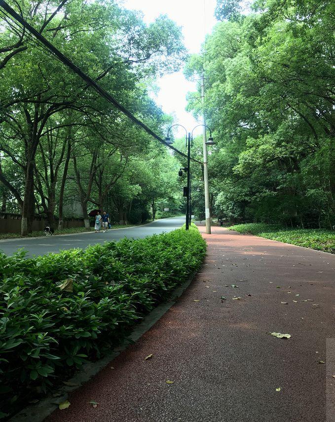 武汉一日游必去十大免费景点,武汉周边免费一日游自驾哪里好玩