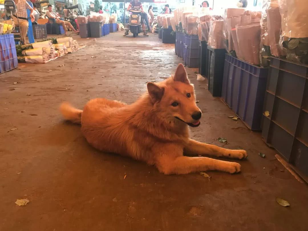 广州便宜又好看的批发市场,广州年前批发市场买衣服地方推荐