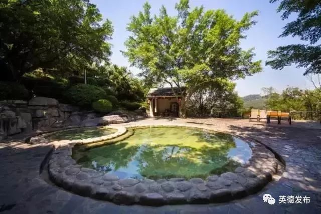 温泉水滑洗凝脂什么意思,温泉水滑洗凝脂上一句是什么