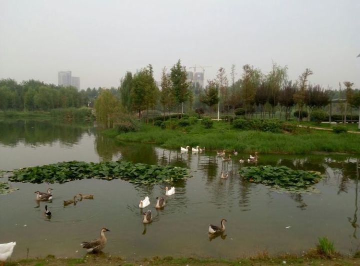 原创诗词六首秋韵吟草,秋夜五绝原创诗词