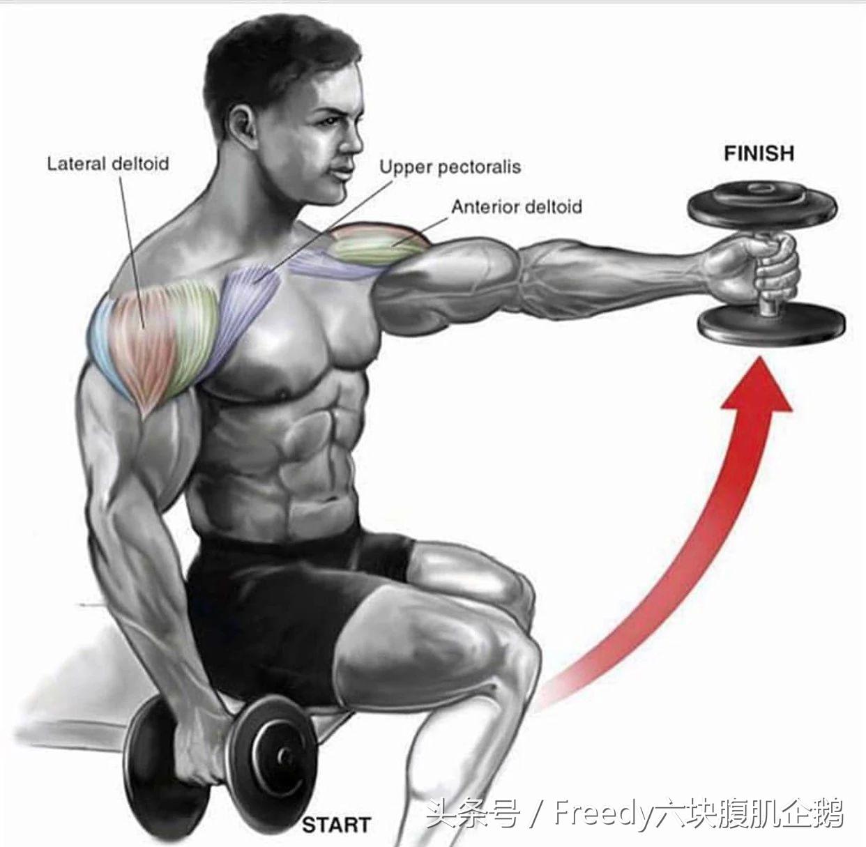 三角肌前束怎么练都练不出饱满,三角肌后束怎么练呢