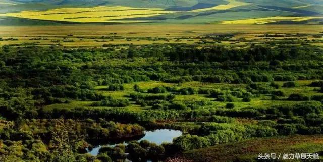 一座去了不想走的城市成都,一座去了还想去的城